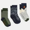 Boys' Neat Feet Green/Navy 3 Pack Socks